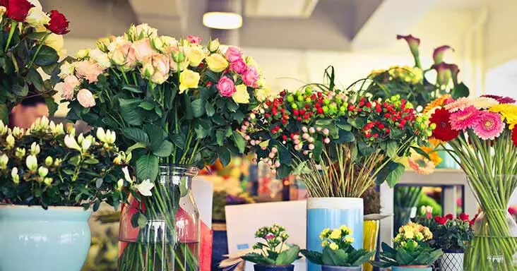 5 Flowers to Give Your Mum for Mother's Day
