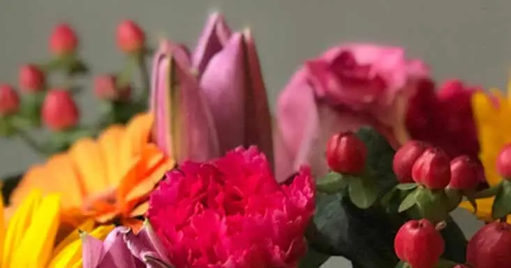 5 Reasons to Give Flowers this Valentine's Day